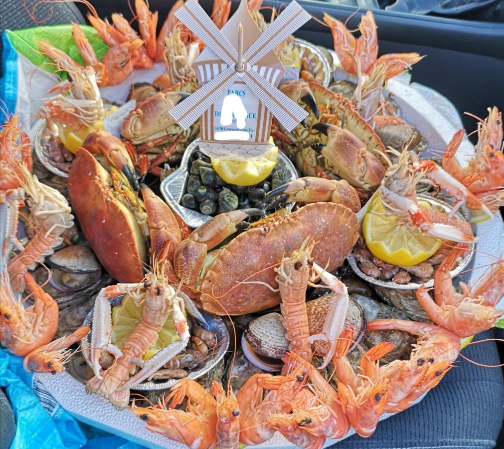 2 Pieces Front De Mer Ensoleille Et Calme Acces Direct Plage 卡布尔 外观 照片
